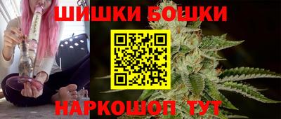 дмт Гай