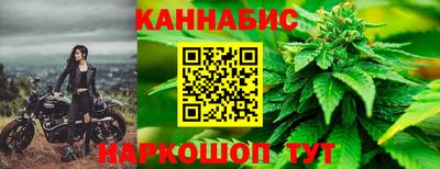 дмт Гай