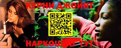 дмт Гай