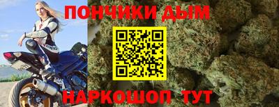 дмт Гай