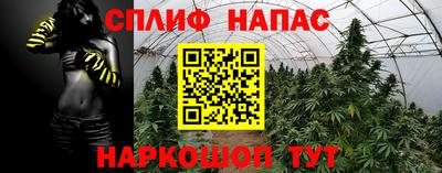 гашиш Гатчина