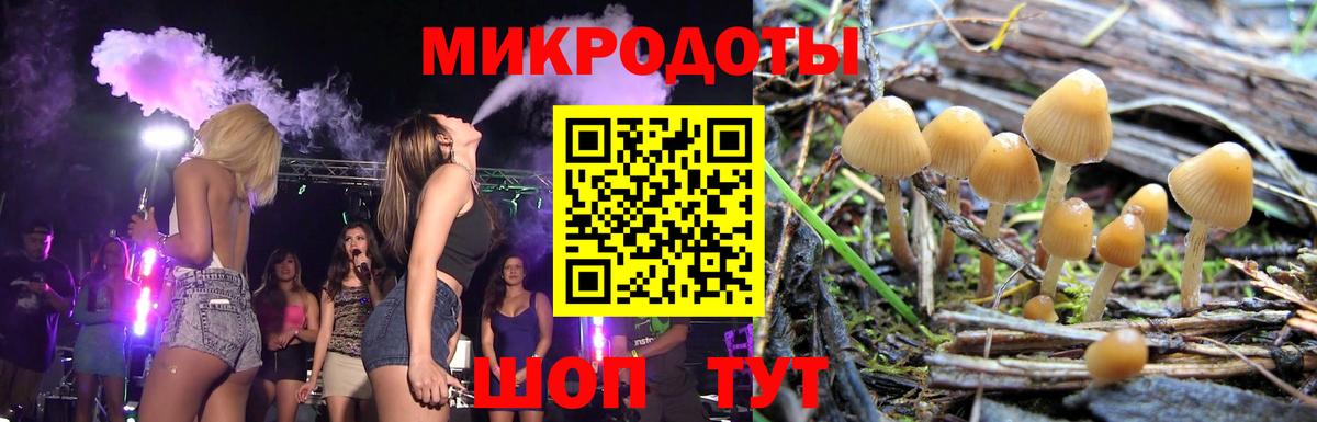 Псилоцибиновые грибы MAGIC MUSHROOMS Павловский Посад